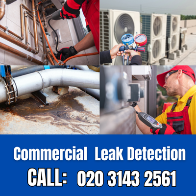 Commercial Leak Detection Services in Catford | Catford Leak Detection