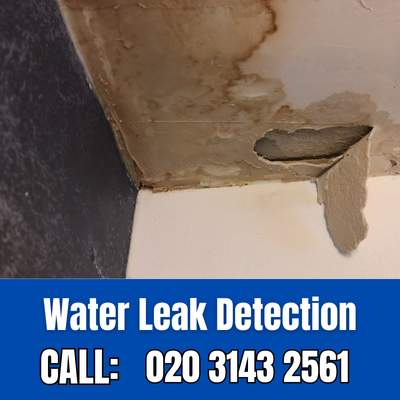 Expert Water Leak Detection Services in Catford | Catford Leak Detection